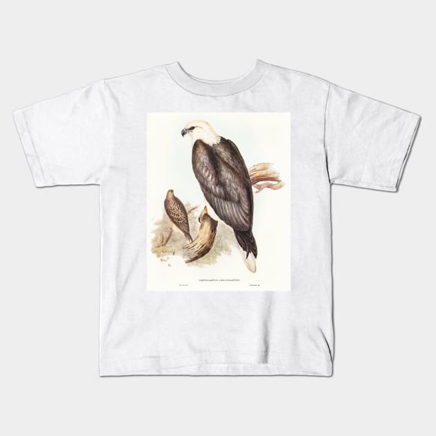 White-bellied Sea Eagle Kids T-Shirt by WAITE-SMITH VINTAGE ART